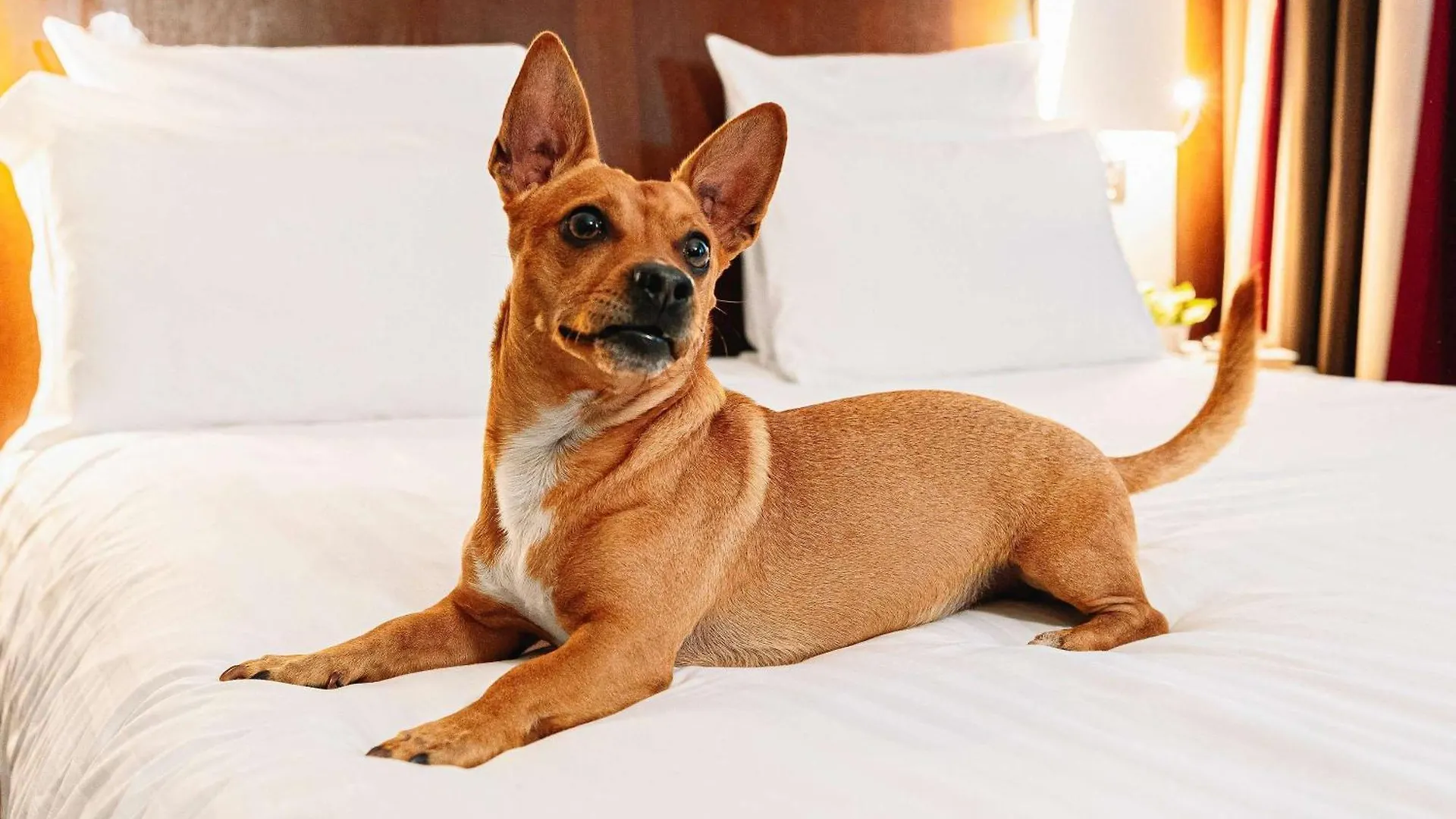 Mercure Roma Piazza Bologna Italien